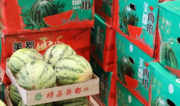 临夏吃瓜爆料最新事件,最新事件引发热议，真相究竟如何？”